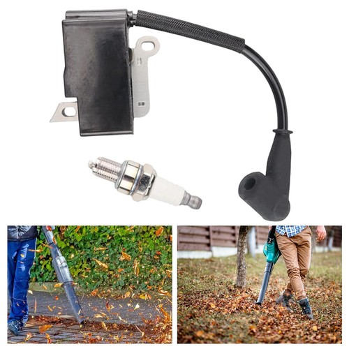 Leaf blower engine - blower,