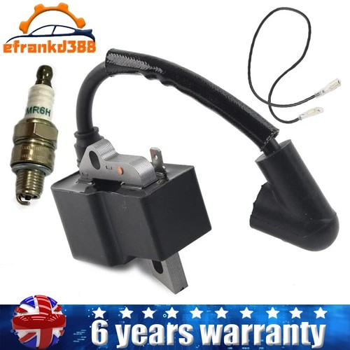 Ignition coil spark plug for - coil,